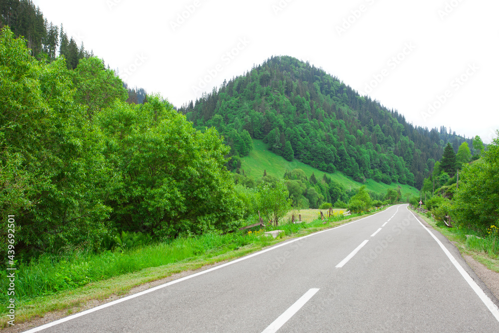 empty road in beautiful summer forest landscape with hills.