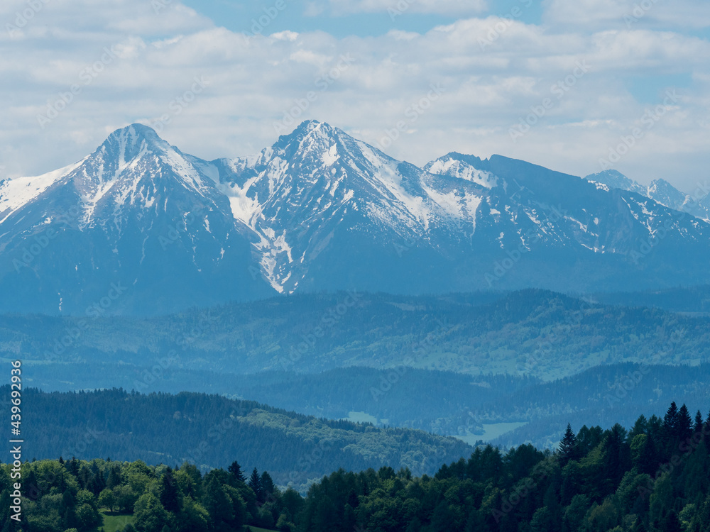 Fototapeta premium Widok na Tatry wysokie z Palenicy