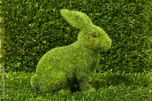 unnoticed grass rabbit on the grass photo