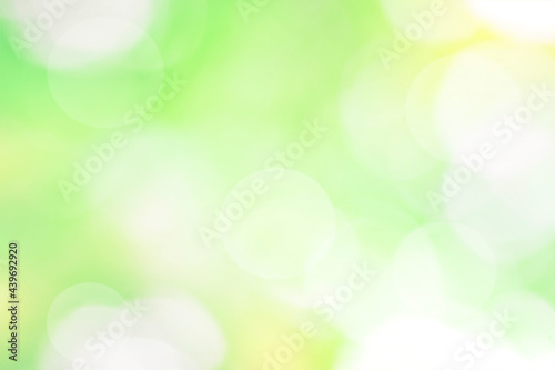 Defocused abstract nature background with green and yellow foliage, sun highlights and bokeh lights.