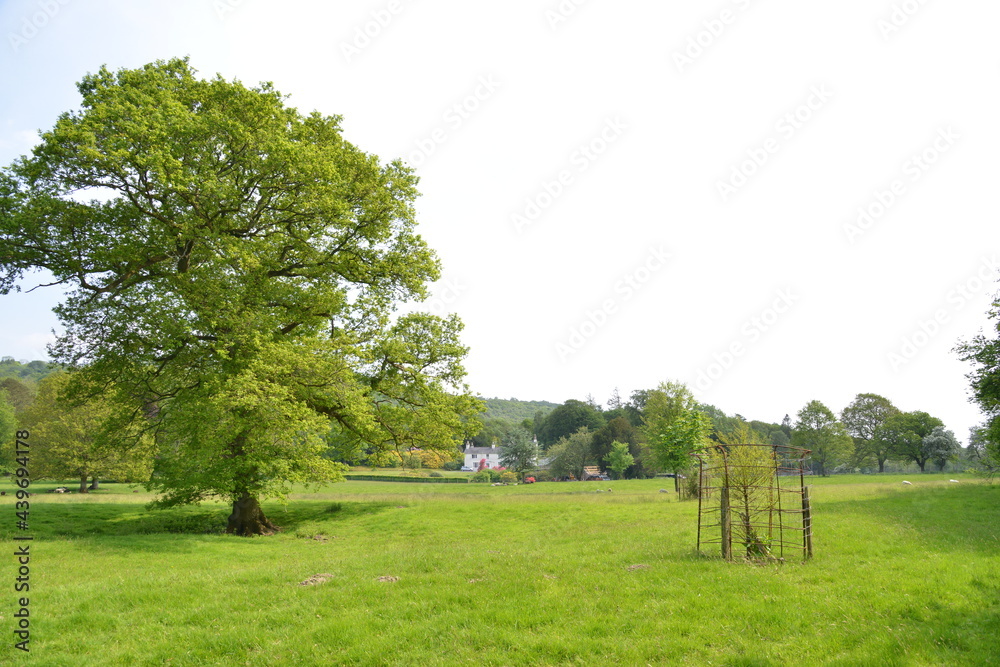 Fields near Greenodd, South Lakes, Lake District, Cumbria, England, UK