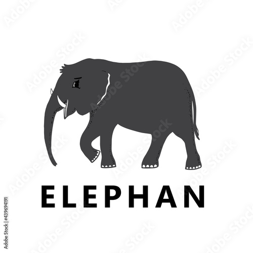 Graphic grey elephant silhouette animal