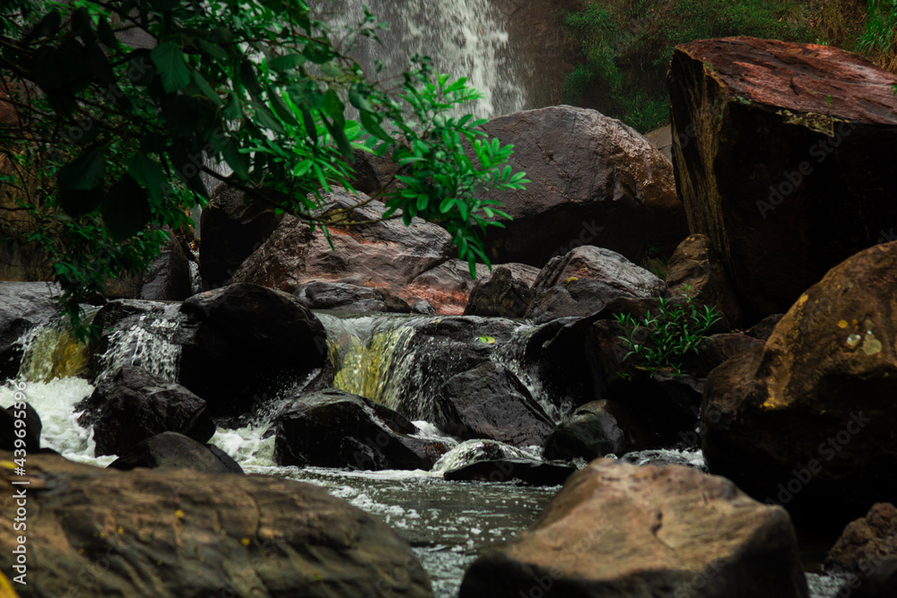 Fototapeta premium waterfall in the forest