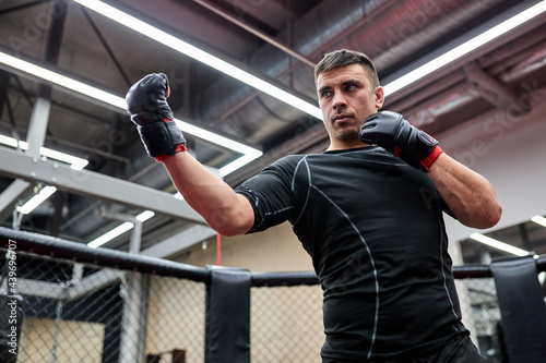 Fit strong man boxer in gloves standing in fighting pose during workout. Concept of strentgh and motivation. Kickboxing, mma, sport concept