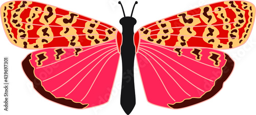 Butterfly with spots on white background. Vector illustration