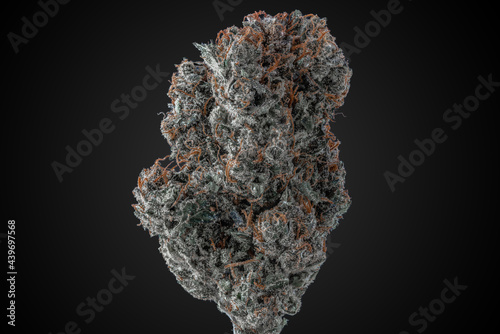 Cannabis Flower Macro - Strain: Blue City Diesel