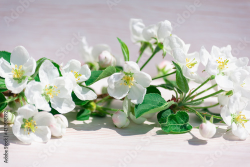 Flowers are white on a light table.