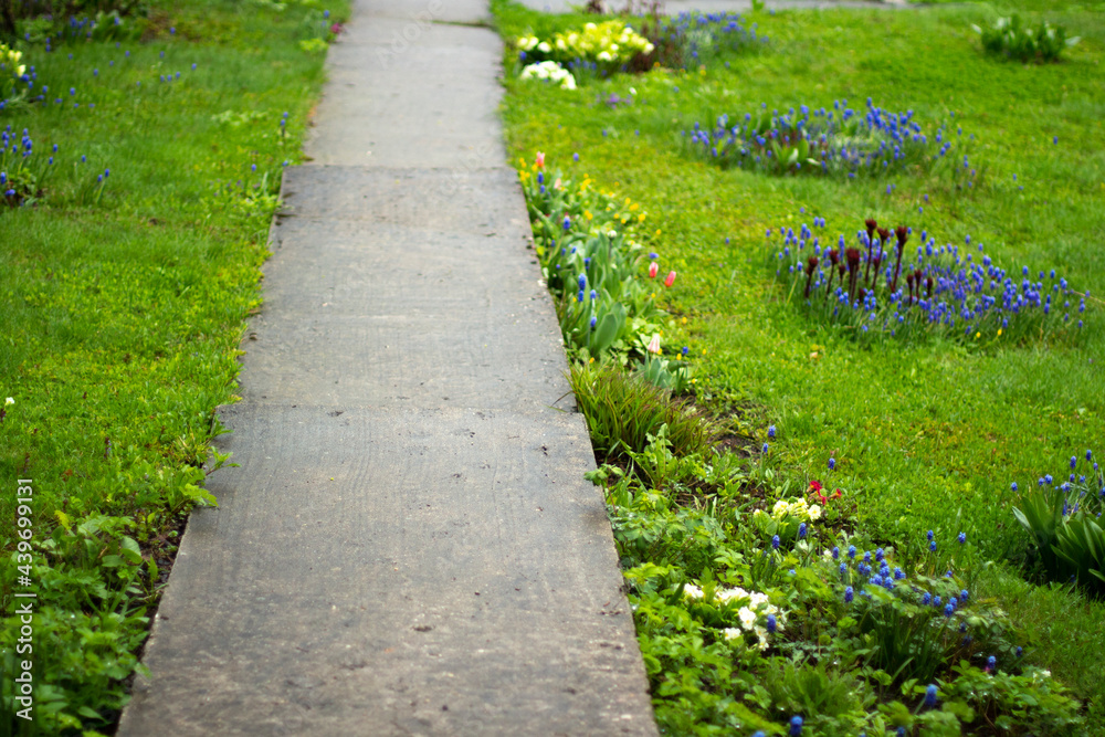 Path in the garden. Garden on a rainy day. Path in the garden. Garden on a rainy day.
