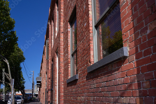 Tiny tabby cat looking out of apartment window