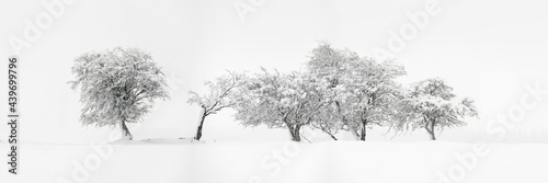 Wallpaper Mural Abstract Trees covered in snow Torontodigital.ca