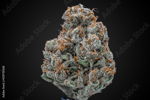 Cannabis Flower Macro - Strain: Mango photo