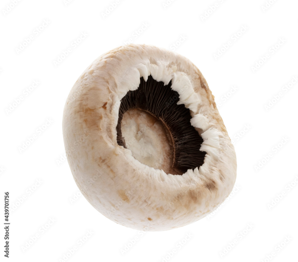 champignon isolated on a white background. champignon isolated on a white background.
