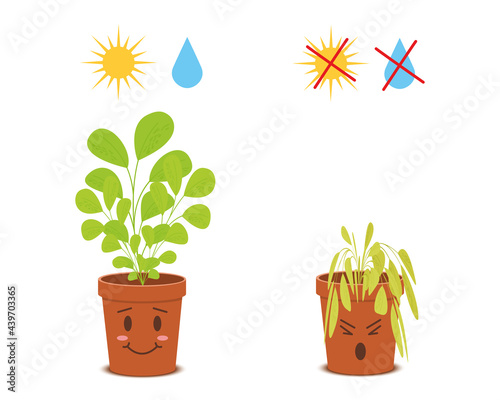 Cute potted plants characters with watering and sunlight symbols. Happy blossom vs sad wilted flowers isolated on white background. Vector cartoon illustration in childish style.