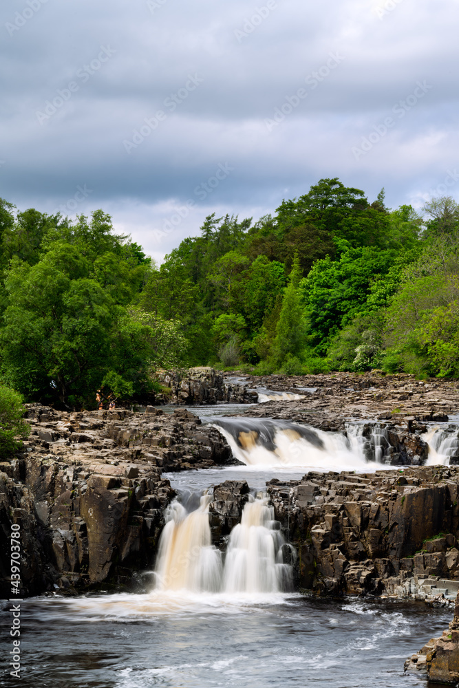 Low Force waterfall among the trees on the river Tees in the North Pennines, County Durham, England