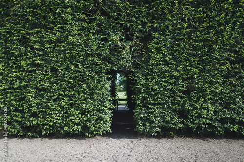 door in the hedge