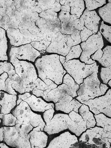 Cracked dry sediment background photo