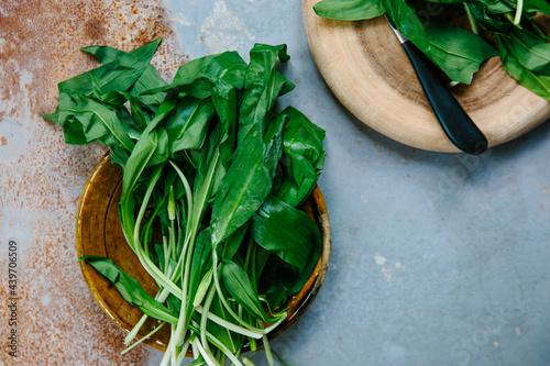 Wild garlic leaves