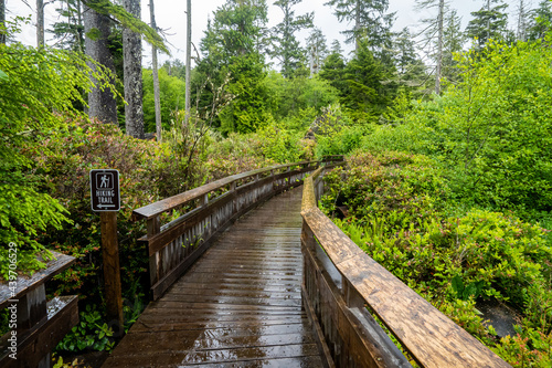 A boardwalk through an old growth forest near Rockaway on the Oregon coast
