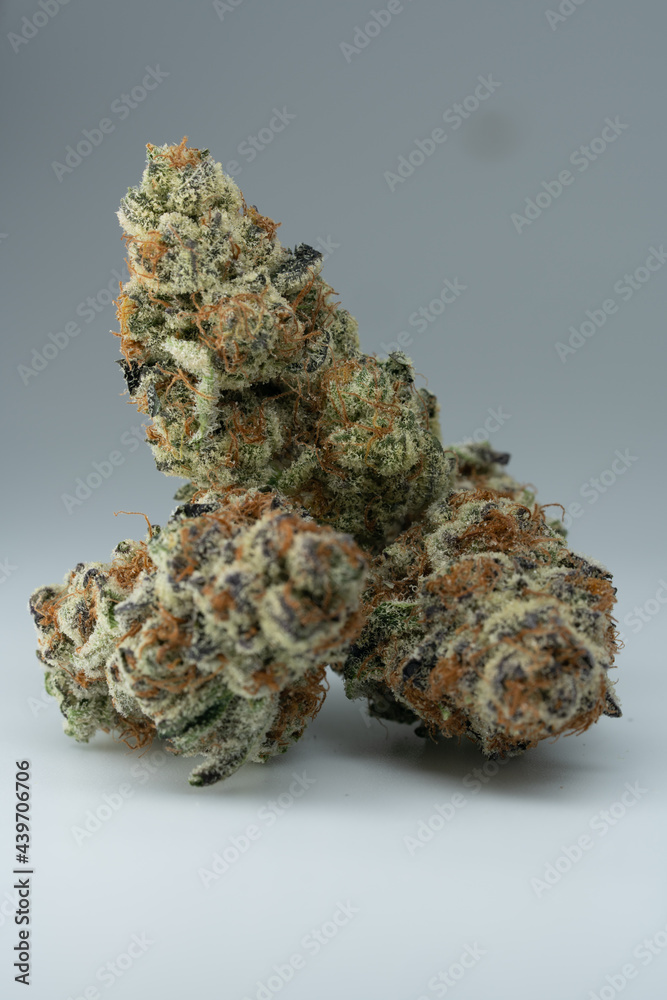 Cannabis Flower Macro - Strain: Punch Breath