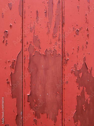Old door with flaking paint