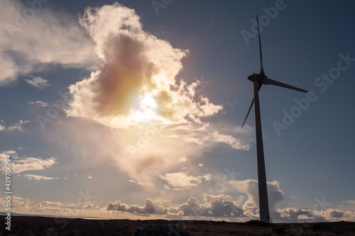 Wind turbine electricity generator in an open field, renewable energy concept. Source of green, clean power. Warm sunny day.