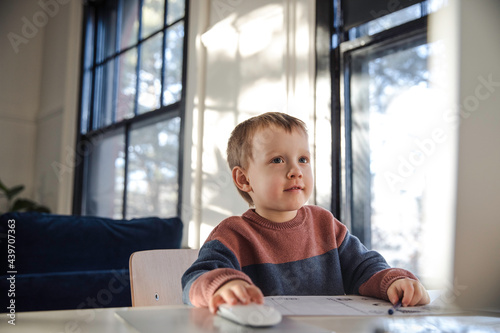 Little boy using desktop computer at home