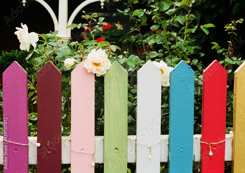 Colorful garden fence photo