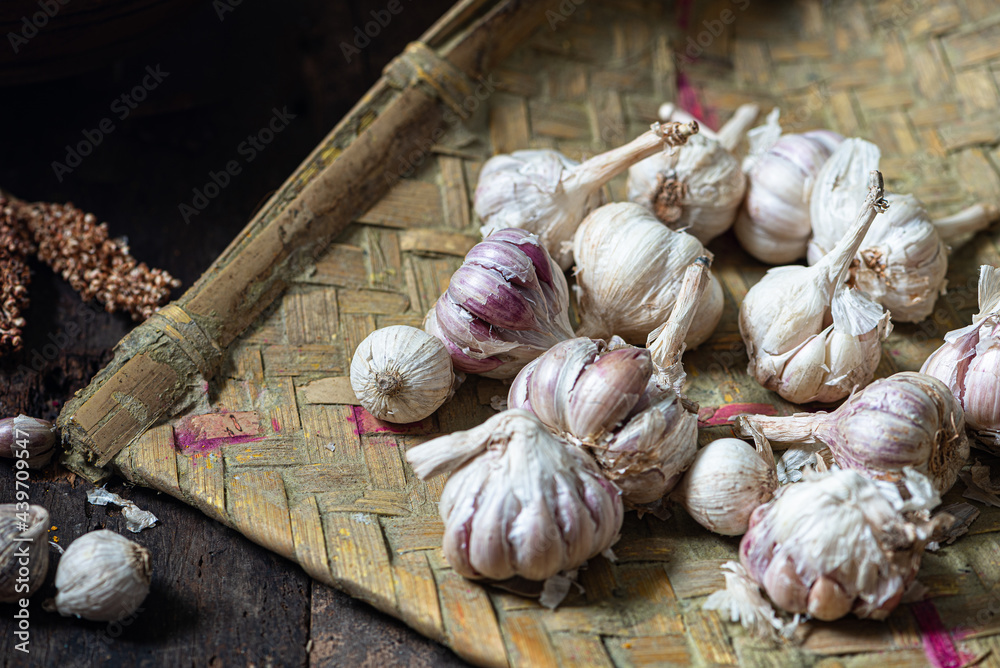 Medicinal Garlic grown in hills Stock Photo Adobe Stock