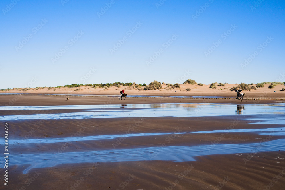 couple of men riding horses on a lonely beach with 2 dogs