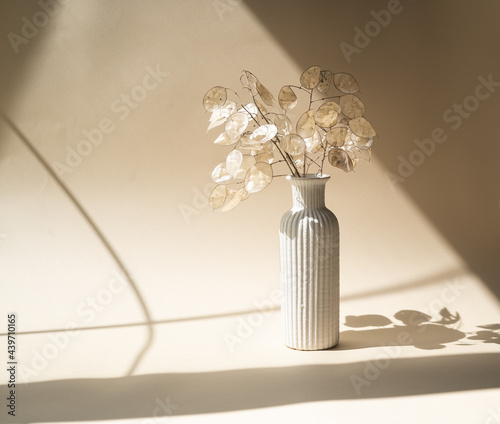 Bouquet of dried lunaria in ceramic vase on beige studio background photo
