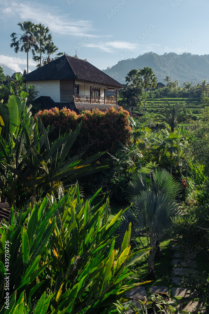 House With A Tropical Garden House With A Tropical Garden