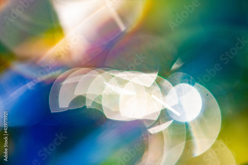 Colorful Abstract Flowers