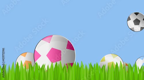 Playing field. Sport. Grass Border. Football. Soccer ball set. Graphic, digital drawing relating to the game, play, betting and competition. Group.