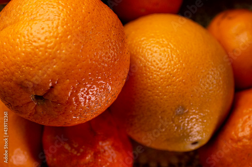 Fototapeta Naklejka Na Ścianę i Meble -  closeup of a group of orange fruits