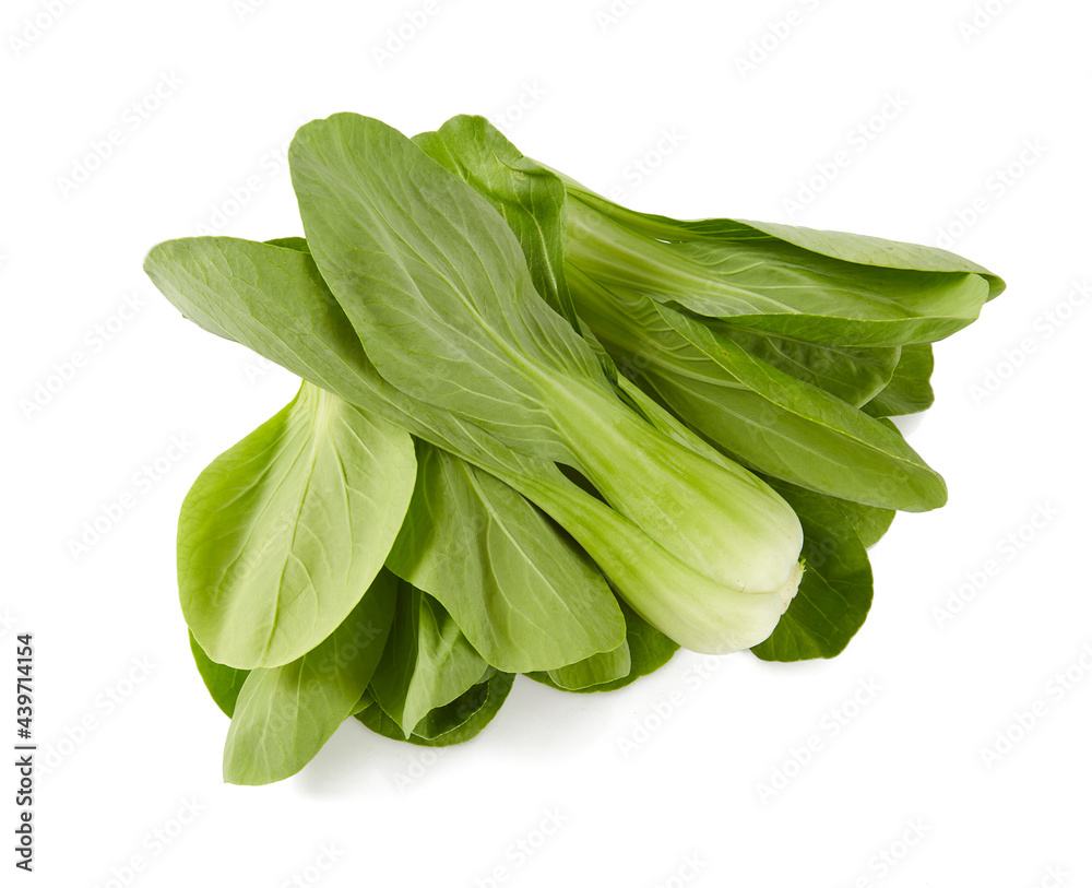 fresh pak choi cabbage isolated on white background fresh pak choi cabbage isolated on white background