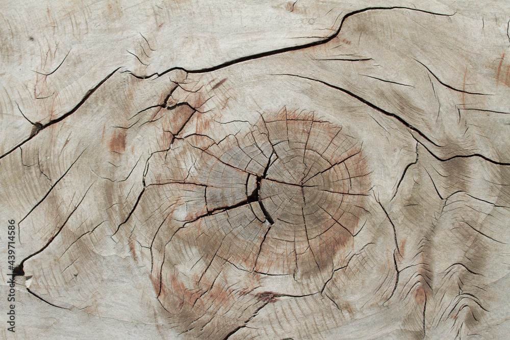 wood veins