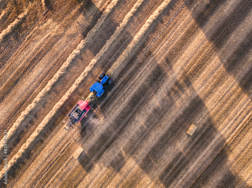A farmer ploughing the grass in field, from above looking down A farmer ploughing the grass in field, from above looking down