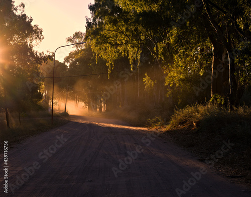 path surrounded by trees with sunlight passing through them