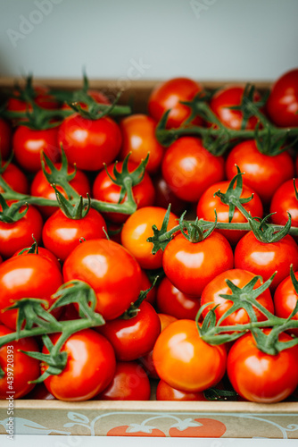 Fresh red mini tomatoes  photo