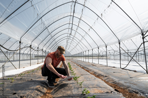 Man working in a greenhouse during seeding