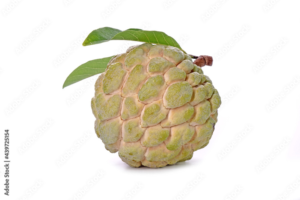 Custard apple isolated on white background. The sugar-apple, sweetsop is the fruit of Annona squamosa. Premium quality sugar-apple from Thailand Custard apple isolated on white background. The sugar-apple, sweetsop is the fruit of Annona squamosa. Premium quality sugar-apple from Thailand