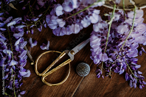 purple wisteria branch 