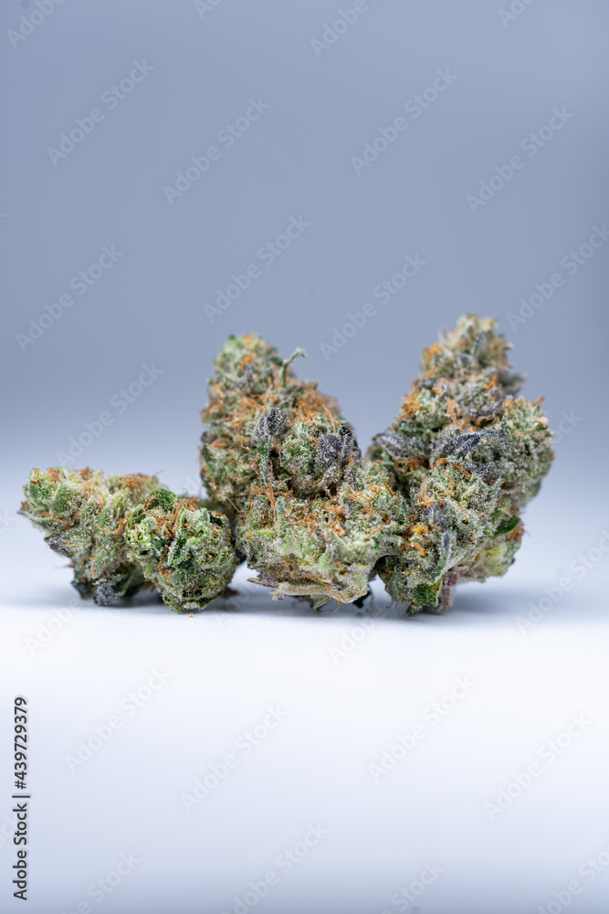 Cannabis Flower Macro - Strain: Platinum Purple Cannabis Flower Macro - Strain: Platinum Purple