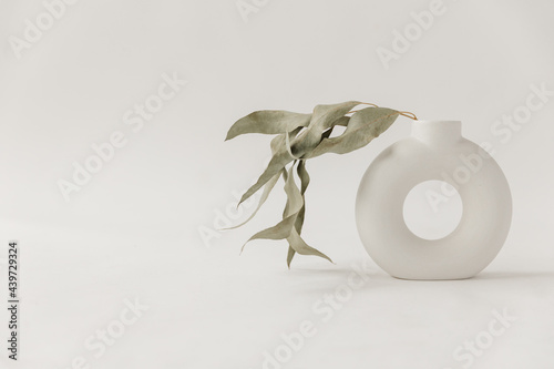 Simple sage colored leaves in circle vase photo