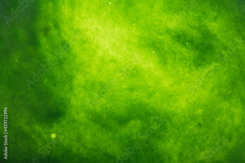 Green juice background photo