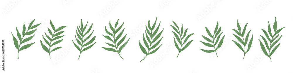 手描きタッチの南国風葉っぱの1列に並んだセットイラスト　vector botanical illustration elements. hand drawn drawing sketch.  Collection of greenery leaf plant forest herbs
