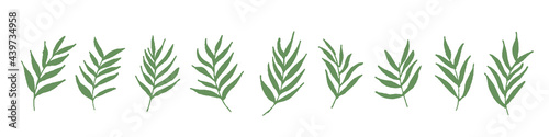 手描きタッチの南国風葉っぱの1列に並んだセットイラスト vector botanical illustration elements. hand drawn drawing sketch. Collection of greenery leaf plant forest herbs