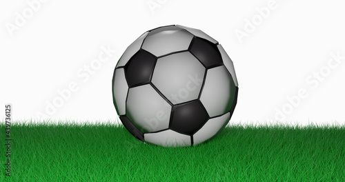3d illustration Soccer football concept. Soccer ball  white and black color on green grass  3D render side view