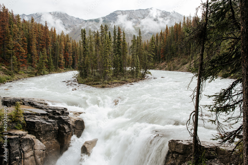 Island in the middle of a river in Jasper National Park Island in the middle of a river in Jasper National Park