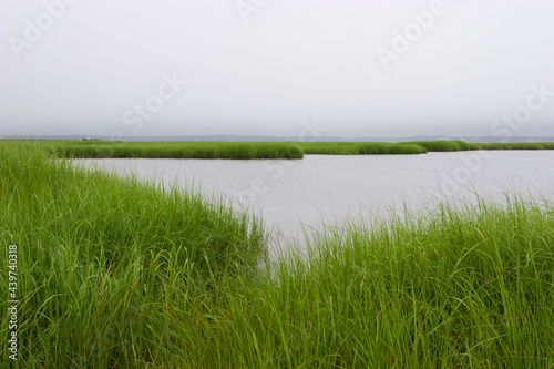 Grass land and ponds in Montauk photo